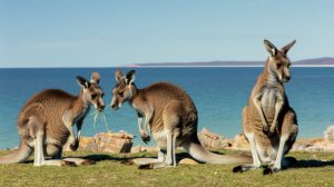 Australia